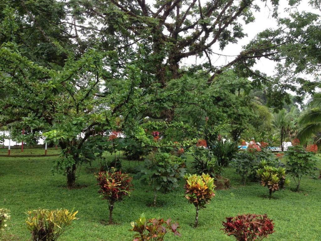 Ilan-Ilan Trails & Lodge Siete Ngoại thất bức ảnh